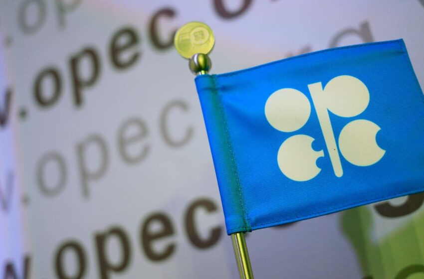  OPEC+ decision on production cuts may be ‘incremental negative’ for oil prices