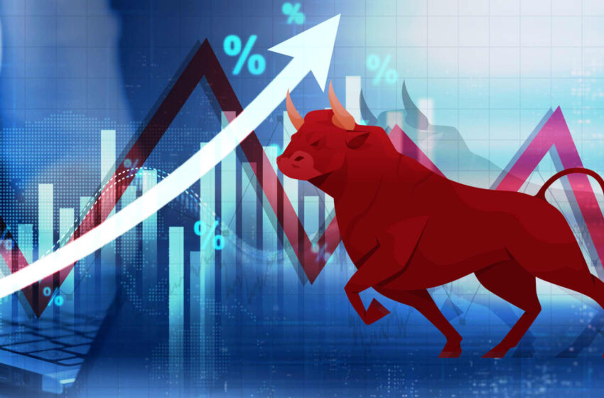  Stocks are up but investor behavior is ‘fragile.’ Is the bull market still in its early stages?