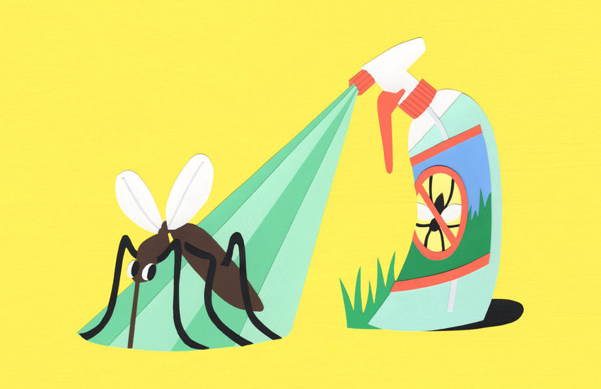  What Are Eco-Friendly Ways to Control Backyard Bugs?