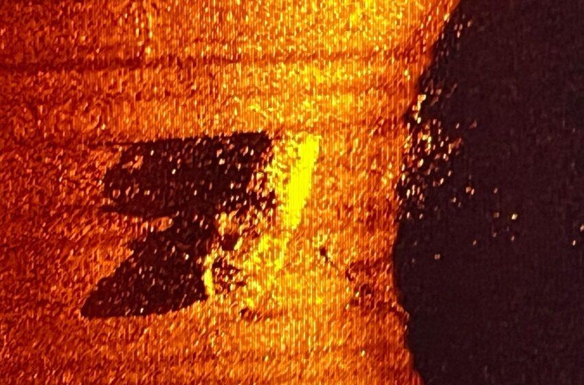  Explorer Shackleton’s last ship discovered ‘intact’ on sea floor – as sonar image released