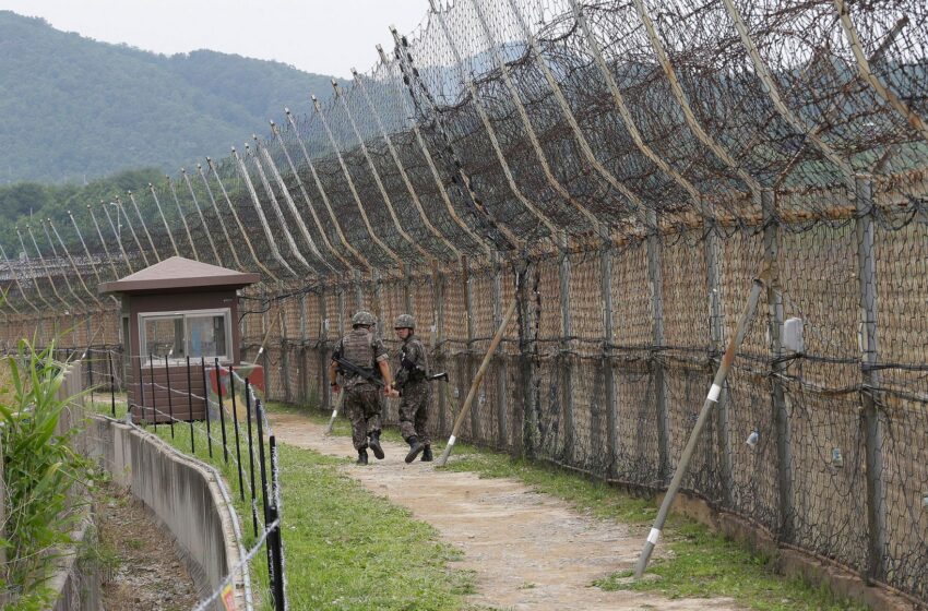  Landmines cause multiple North Korean casualties in demilitarised zone