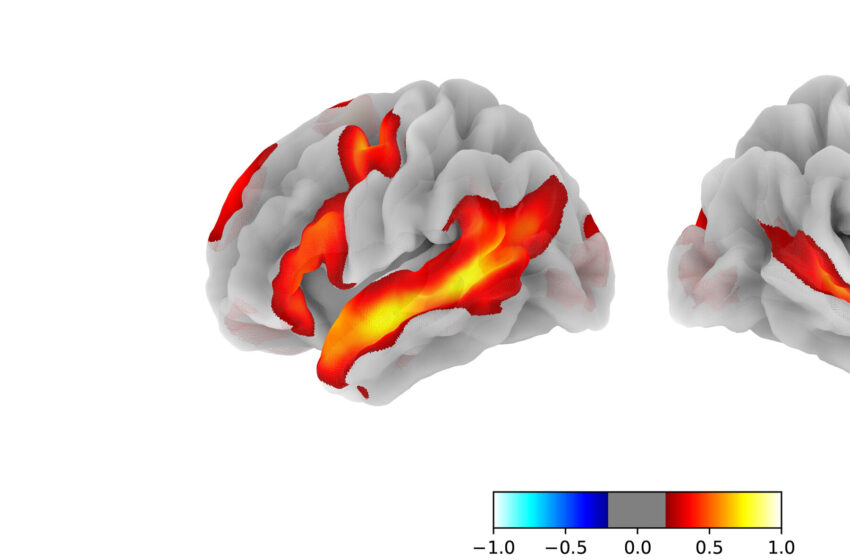 how-our-brain-produces-language-and-thought,-according-to-neuroscientists