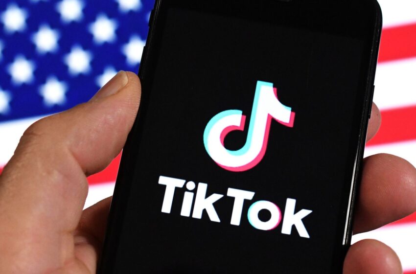  TikTok warns of US ban without free speech court ruling