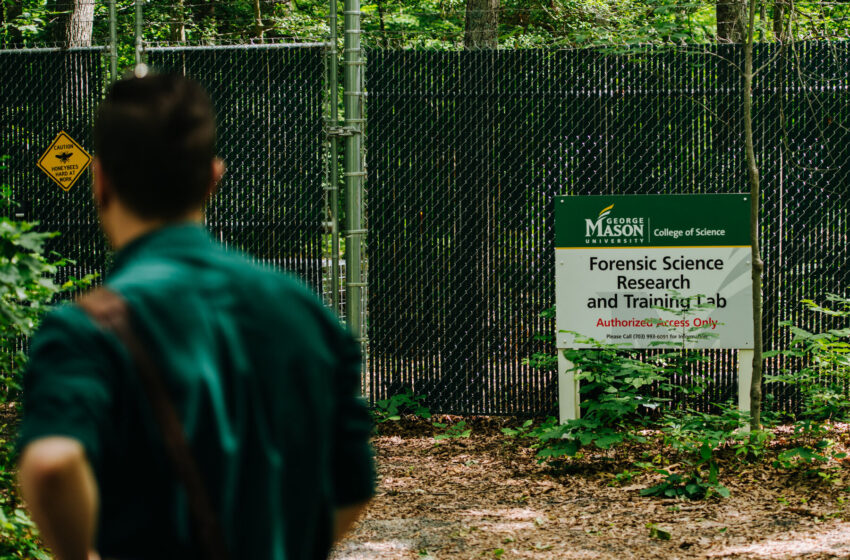  ‘Tiny Crime Fighters With Wings’: Bees Go to Work on a Virginia ‘Body Farm’