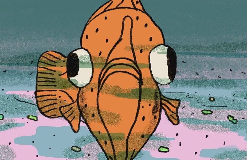  How Flounder Wound Up With an Epic Side-Eye