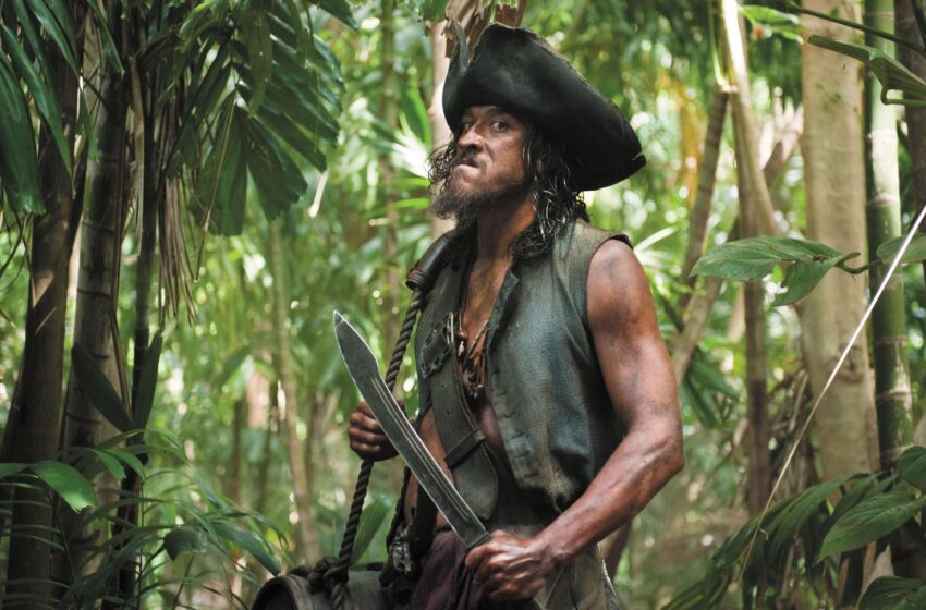 pirates-of-the-caribbean-actor-killed-in-shark-attack