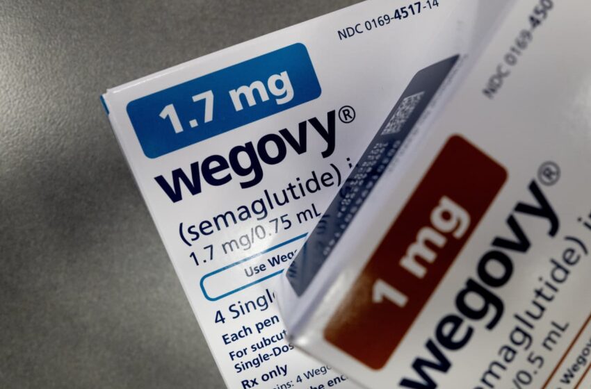  Novo Nordisk gains approval to sell weight-loss drug Wegovy in China