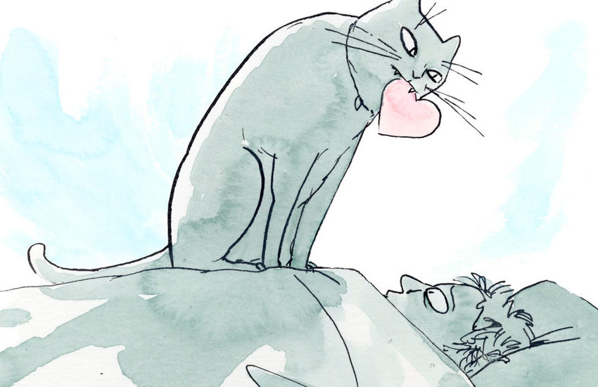  A Feline Scientist Explains Why Your Cat Might Actually Like You