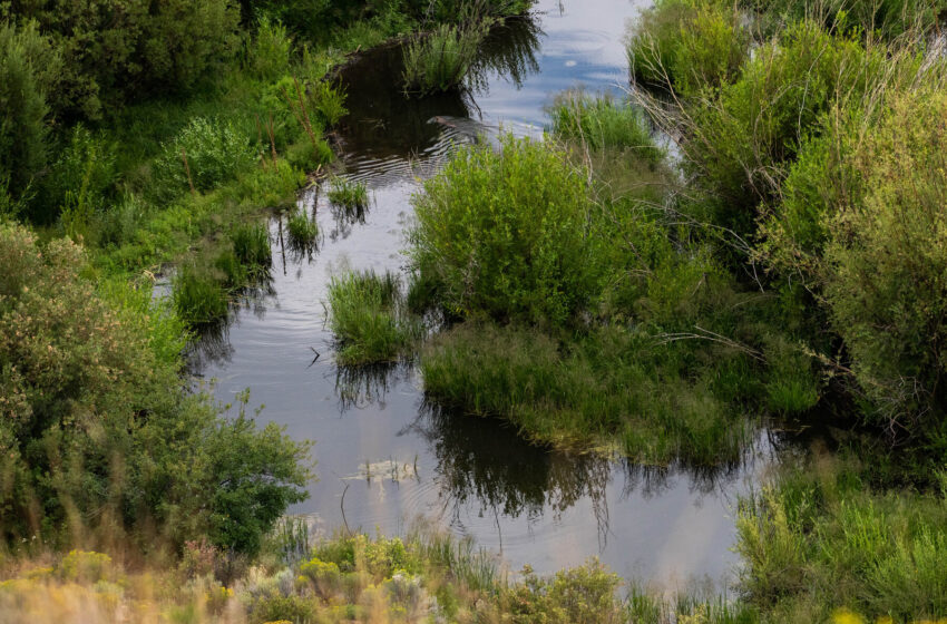  Study Finds Small Streams, Recently Stripped of Protections, Are a Big Deal