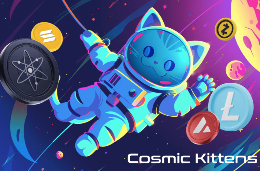  Solana (SOL) Price Prediction: Cosmic Kittens (CKIT) Presale Sets to Soar amidst SOL’s Performance