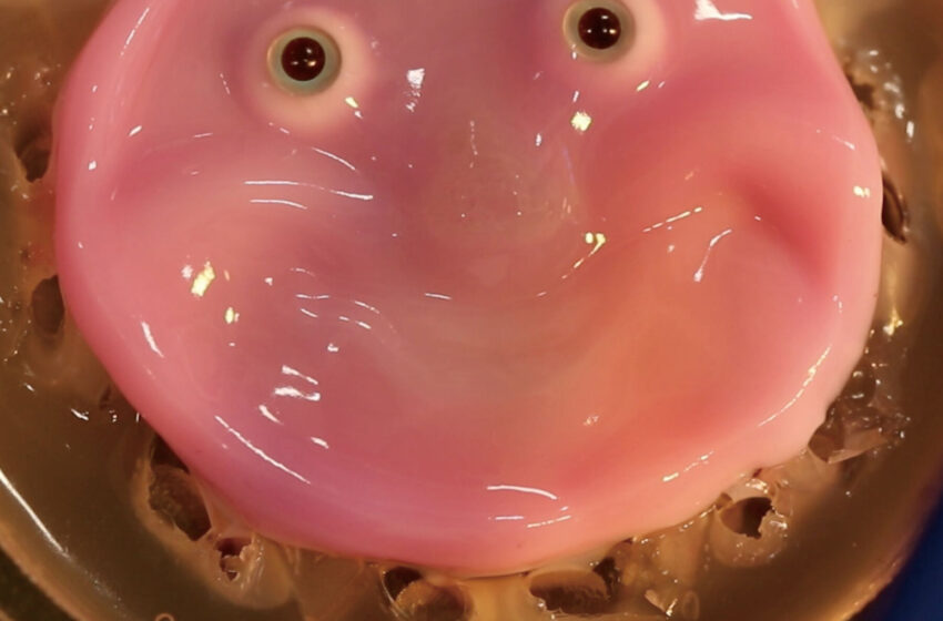  Robots Get a Fleshy Face (and a Smile) in New Research