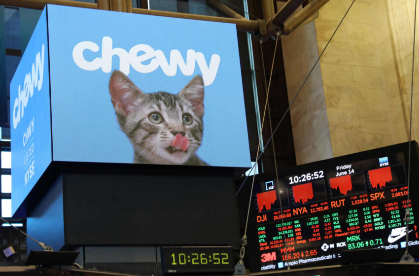  Stocks making the biggest moves midday: Chewy, GameStop, Boeing, Norwegian Cruise Line and more