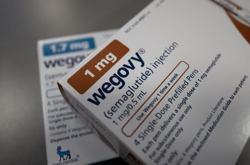  Novo Nordisk’s stock slumps after study finds Wegovy lags Lilly’s Mounjaro in speed and scale of weight loss