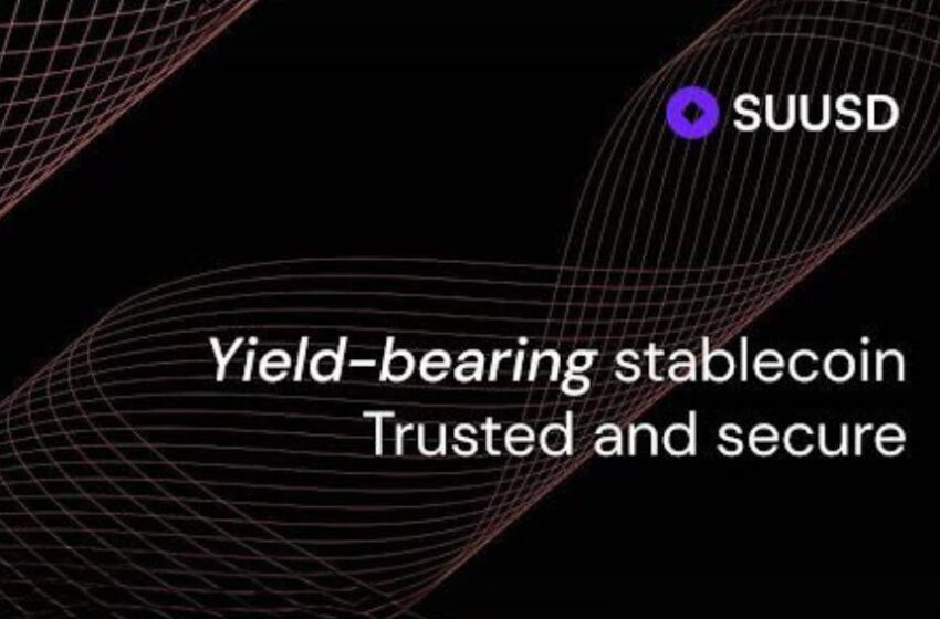  SUUSD: A Promise of Stability, Yield, and Easy Everyday Use