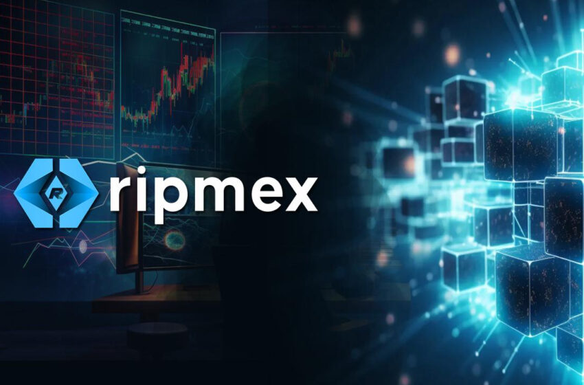 ripmex-debuts-rpx-tokens-presale:-commission-free-trading-for-a-new-financial-era