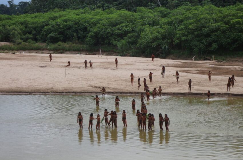 rare-video-of-uncontacted-tribe-shows-members-emerging-from-amazon-rainforest-amid-‘humanitarian-disaster’