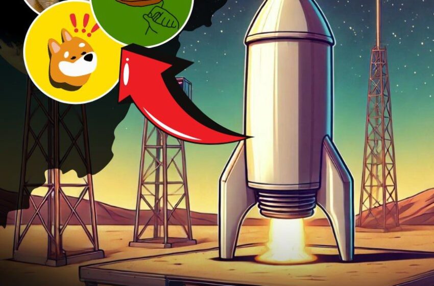  Memecoins ready for lift off – $PEPE, $WIF, and $BONK