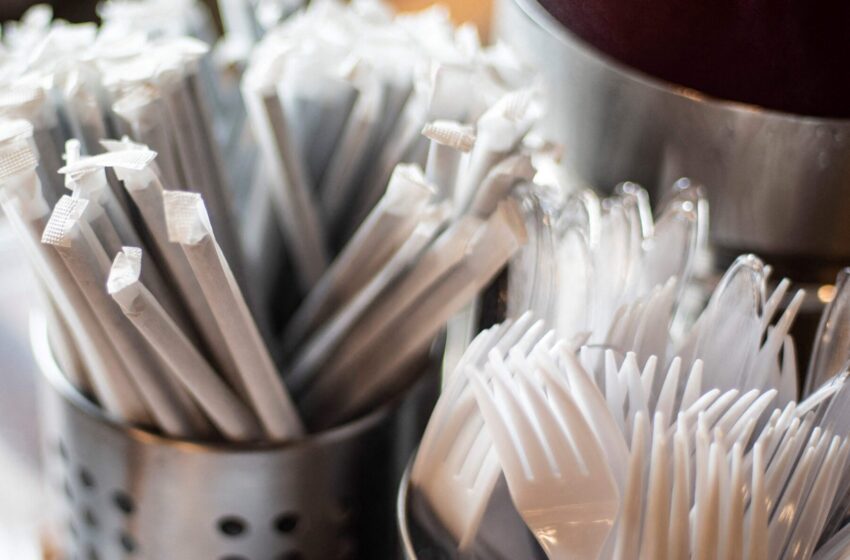  The White House Has a Plan to Slash Plastic Use in the U.S.