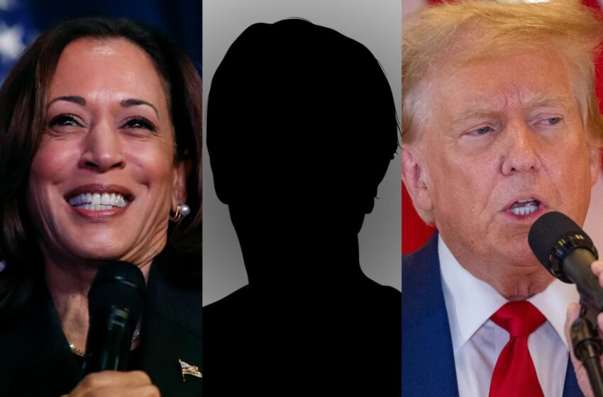  ‘I’m not voting’: Why should Donald Trump, Kamala Harris or anyone else make a difference to my finances? I’ll never be able to retire and I’m always broke.