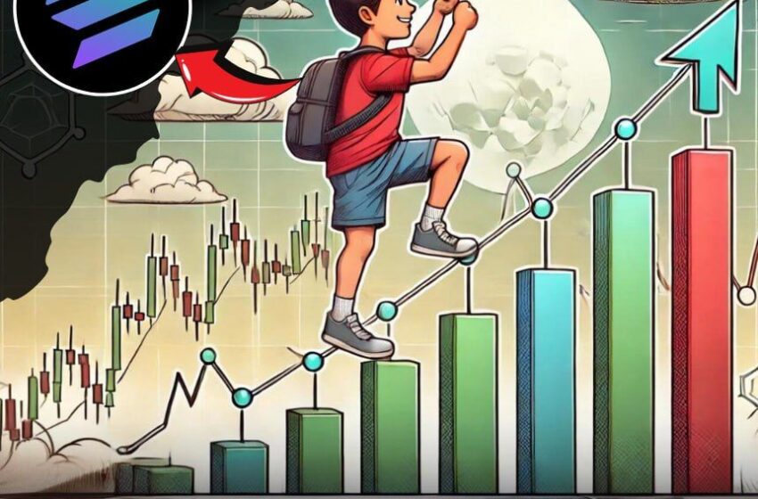  Solana (SOL) and Injective Protocol (INJ) retest support – up from here