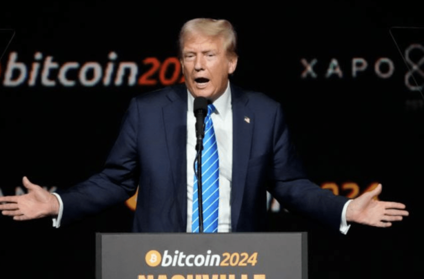 7-best-crypto-to-buy-before-donald-trump-wins-us-election