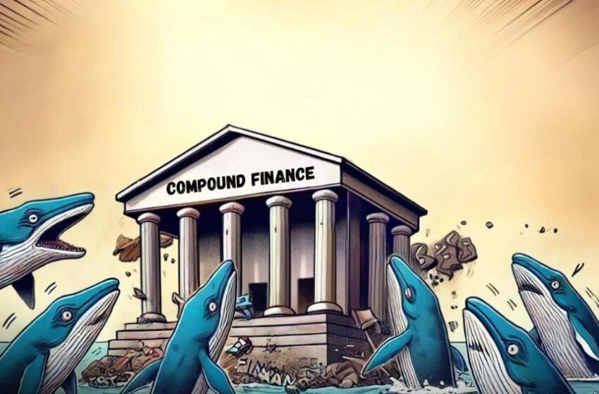 compound-conundrum:-governance-attack-allegations-shake-compound-finance