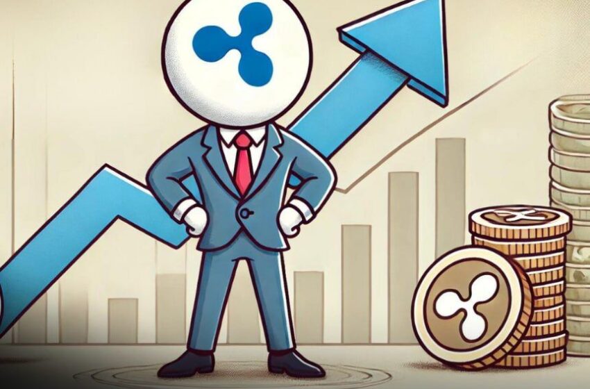 xrp-shows-big-increase-after-end-of-lawsuit-vs-sec-while-sol-faces-struggles-–-what’s-happening-with-other-key-altcoins?