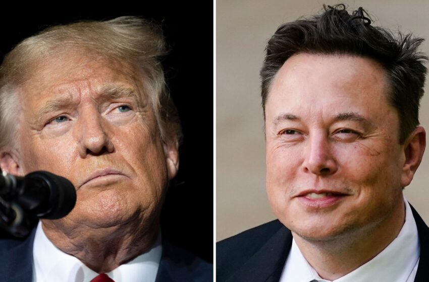  Elon Musk set to interview Donald Trump – as ex-US president returns to X