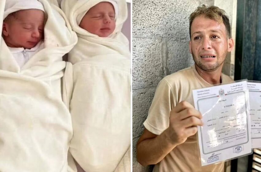 gaza-father-went-to-register-birth-of-twins-–-he-returned-to-find-them-and-their-mother-dead