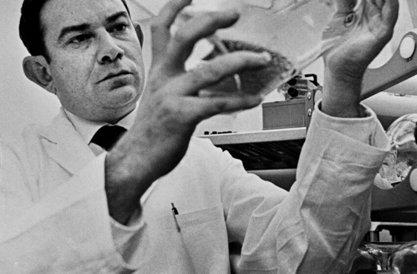  Leonard Hayflick, Who Discovered Why No One Lives Forever, Dies at 96