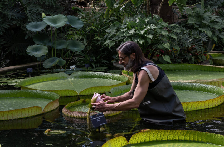  Horticulturist Carlos Magdalena Is Saving Rare Flowers From Extinction