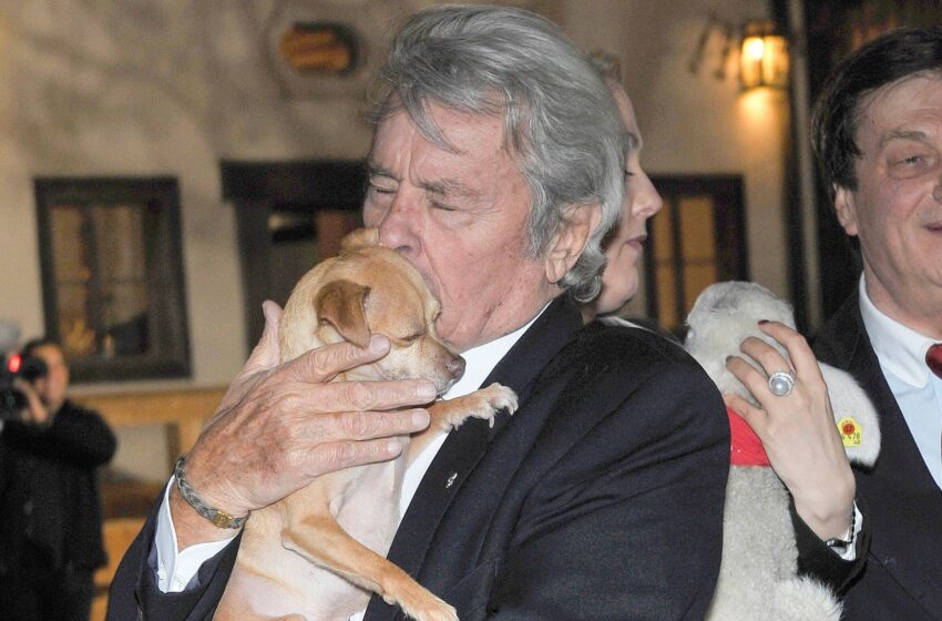 alain-delon’s-family-overrule-wish-to-kill-dog-late-actor-wanted-to-be-buried-with