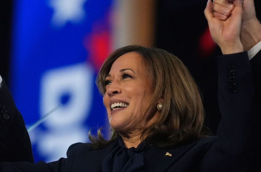  Kamala Harris pitches election as ‘fight for America’s future’ and risk of Trump ‘chaos and calamity’