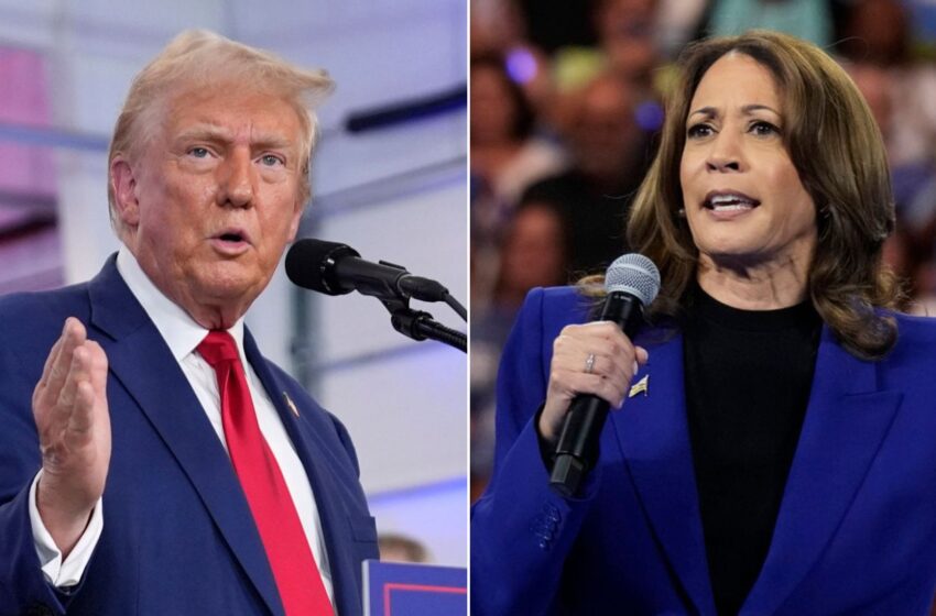  Trump agrees to debate as Harris confirms first interview since Biden withdrawal