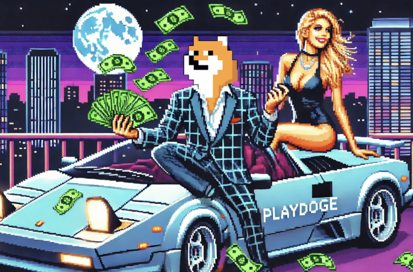  PlayDoge Ends Presale August 29th – Next Big Crypto Game?