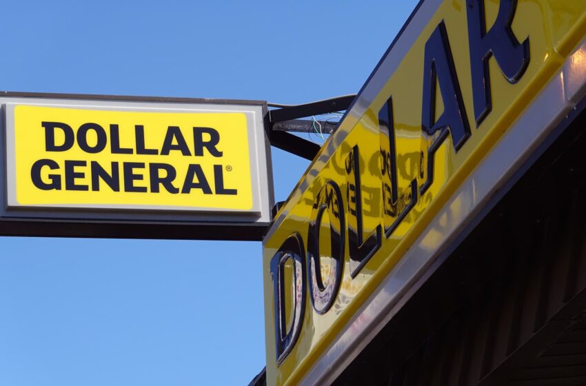  Dollar General shares crater 25% as retailer cuts outlook, blaming ‘financially constrained’ customers