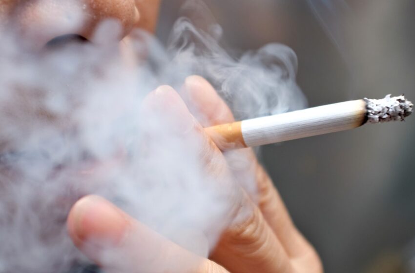  Outdoor smoking ban ‘sensible approach’ to help people stop habit, minister says