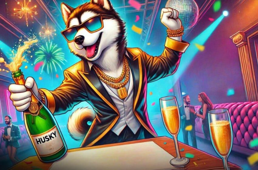  Husky Inu ($HINU) Presale Exceeds Expectations