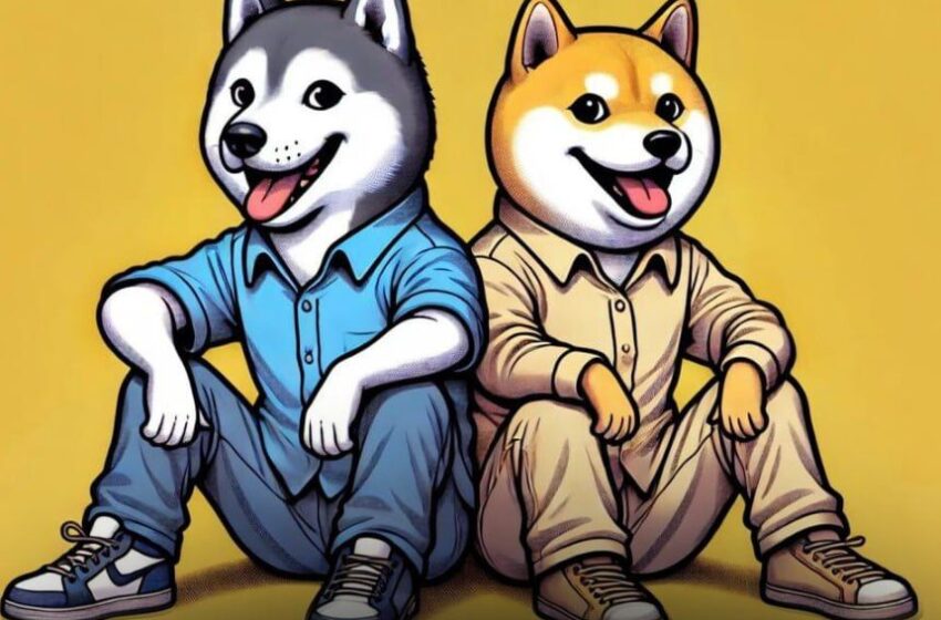  Shiba Inu’s ($SHIB) Best Friend, Husky Inu ($HINU) Set for Explosive Growth This Year