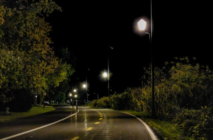  Leaving streetlights on all night appears to be changing how nature works, study finds