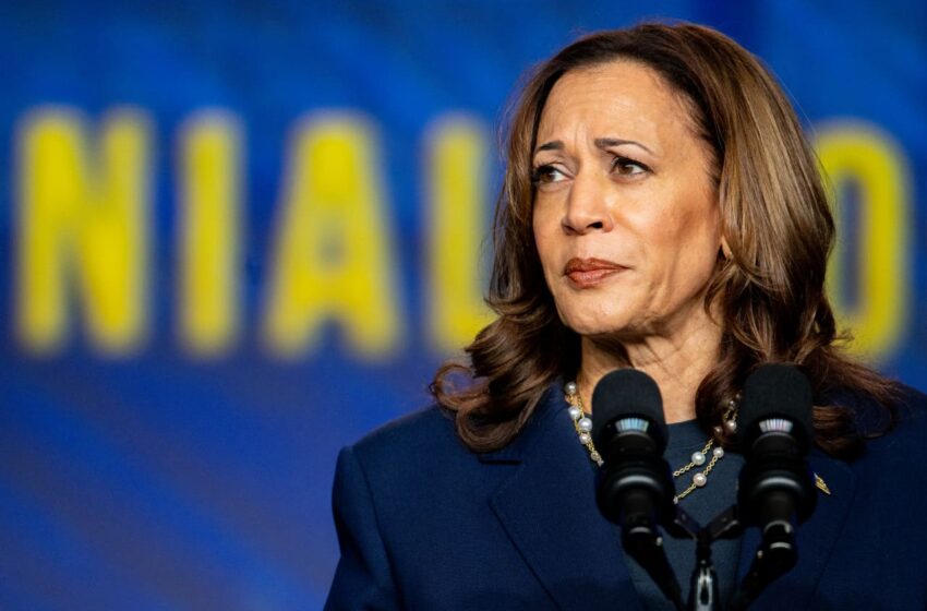 why-this-stock-market-selloff-could-be-bad-news-for-kamala-harris