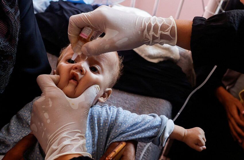  Polio vaccination under way in Gaza – as medics say more killed in Israeli strikes