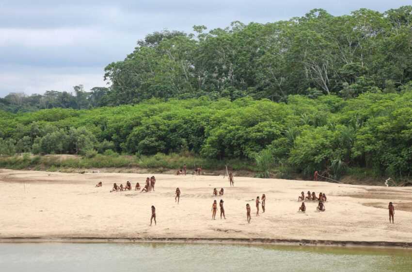 two-loggers-killed-in-bow-and-arrow-attack-after-‘encroaching-on-land-of-uncontacted-tribe’