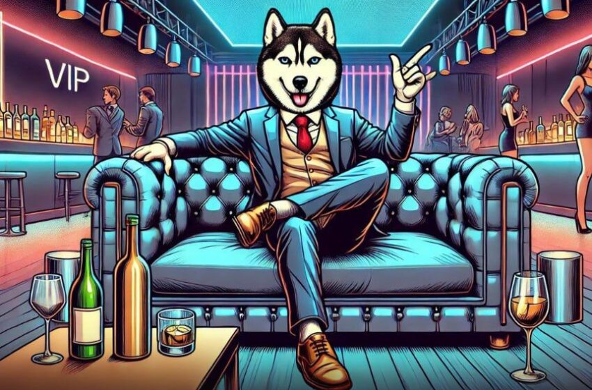  Shop the Husky Inu ($HINU) Presale Now!