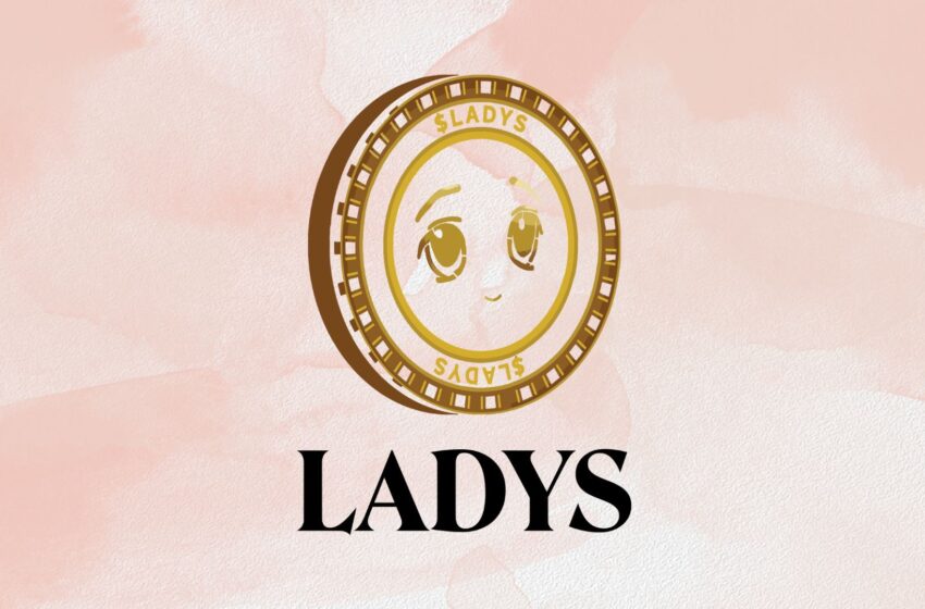  Milady Memecoin rebrands with new logo and motto