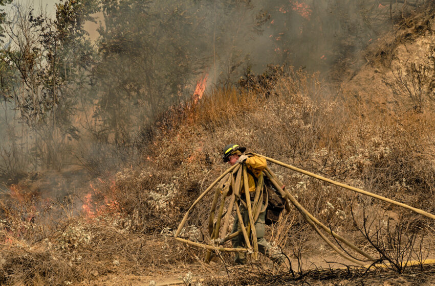  7 Takeaways From the Seemingly Endless Fire Season