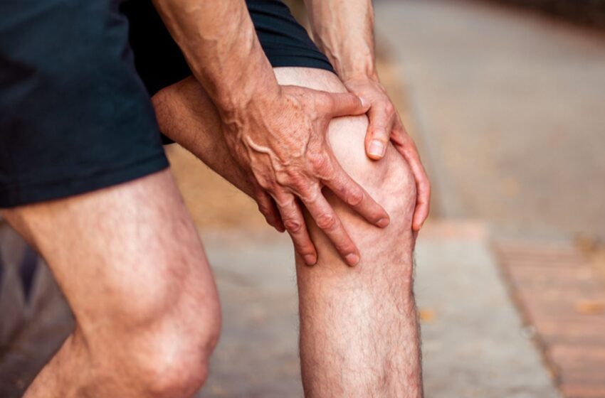 tiny-knee-bone-linked-to-arthritis-may-have-helped-humans-walk-upright,-scientists-suggest