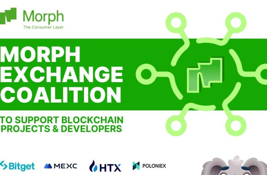 morph-to-launch-centralized-exchange-coalition-to-support-blockchain-projects-and-developers