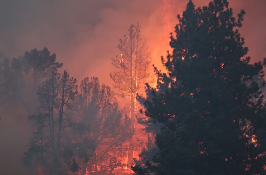  Retire out West? No, thanks. Wildfires kill 10,000 seniors prematurely every year.