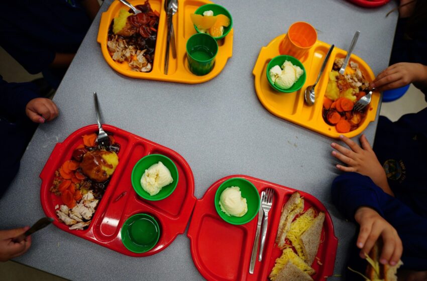  Free school meals should be given to all children in poverty, Lib Dems to say